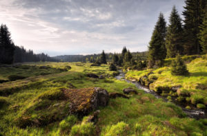 Sumava